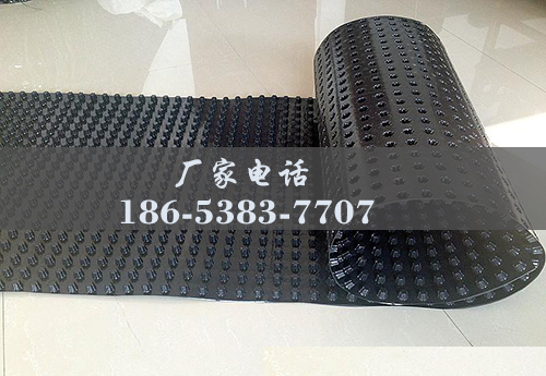 排水板廠(chǎng)家http://www.zzqcbjjw.com/