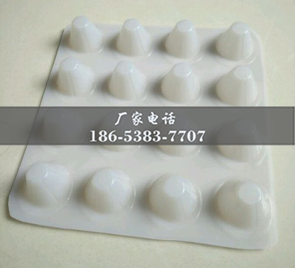 排水板廠(chǎng)家http://www.zzqcbjjw.com/