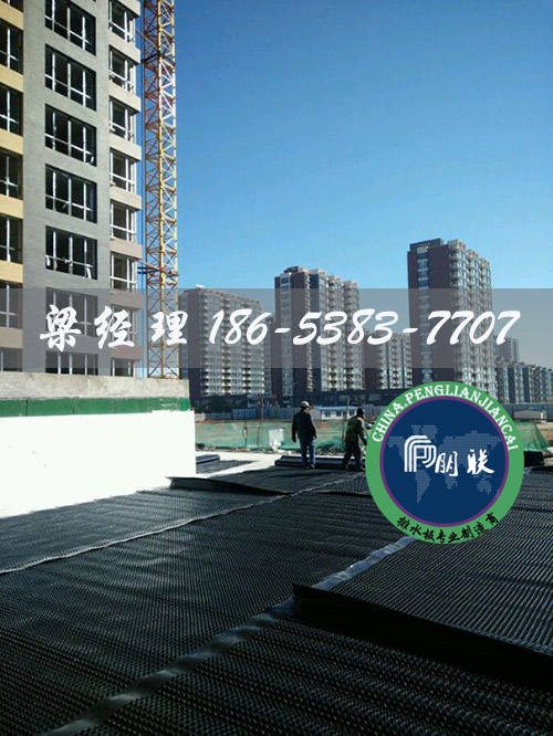 排水板廠(chǎng)家http://www.zzqcbjjw.com/