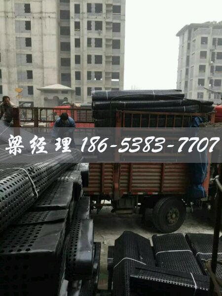 排水板廠(chǎng)家http://www.zzqcbjjw.com/